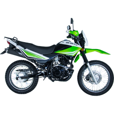 Racer Panther Lite RC250GY-C2A